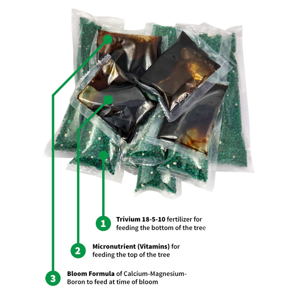 #3 - Avocado Tree Care Kit