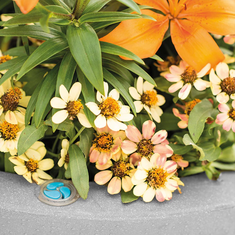 #5 - Self-Watering Rim Planter