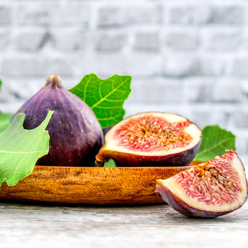 #3 - Chicago Hardy Fig Tree