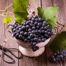 Concord Grape Vine