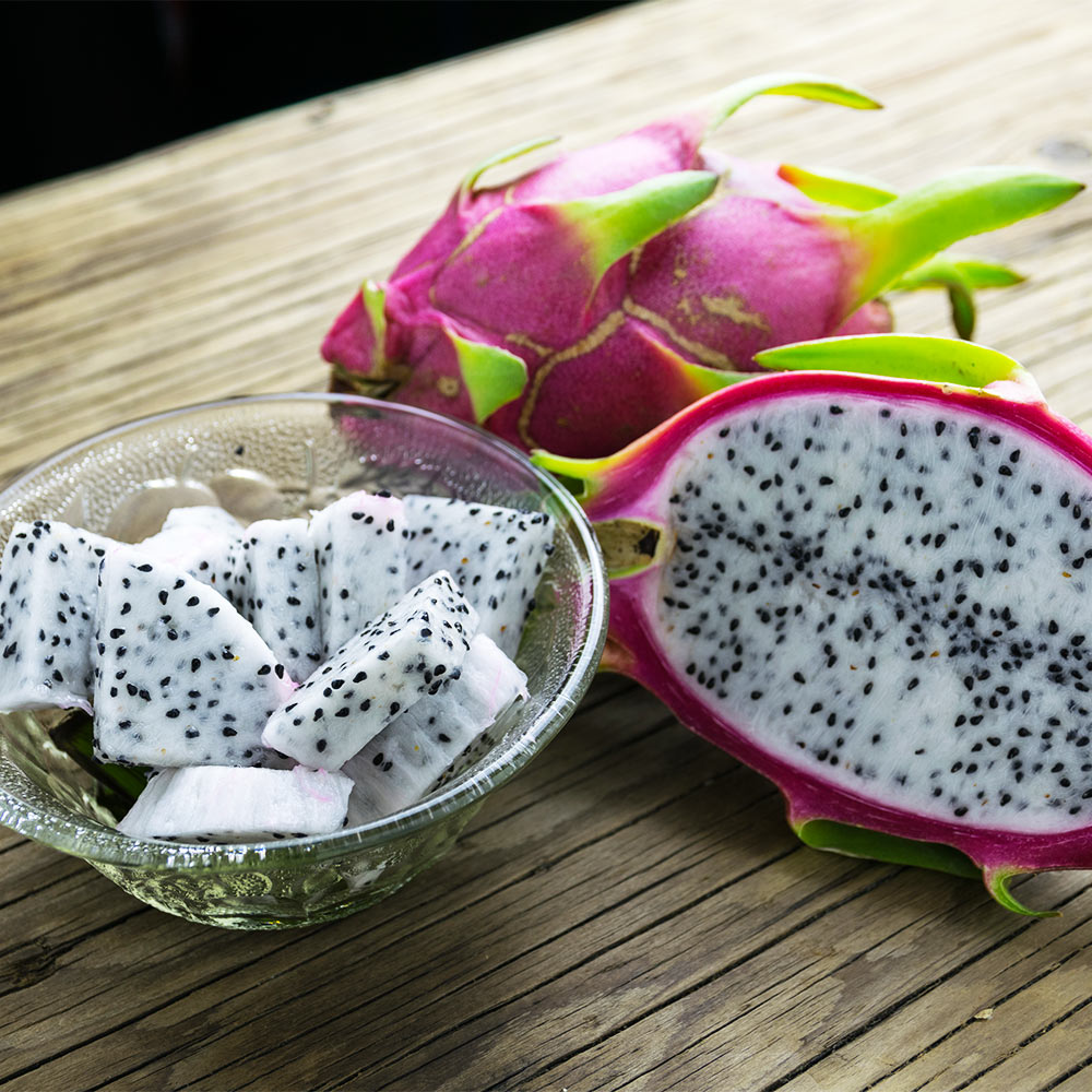 #5 - Dragon Fruit Cactus