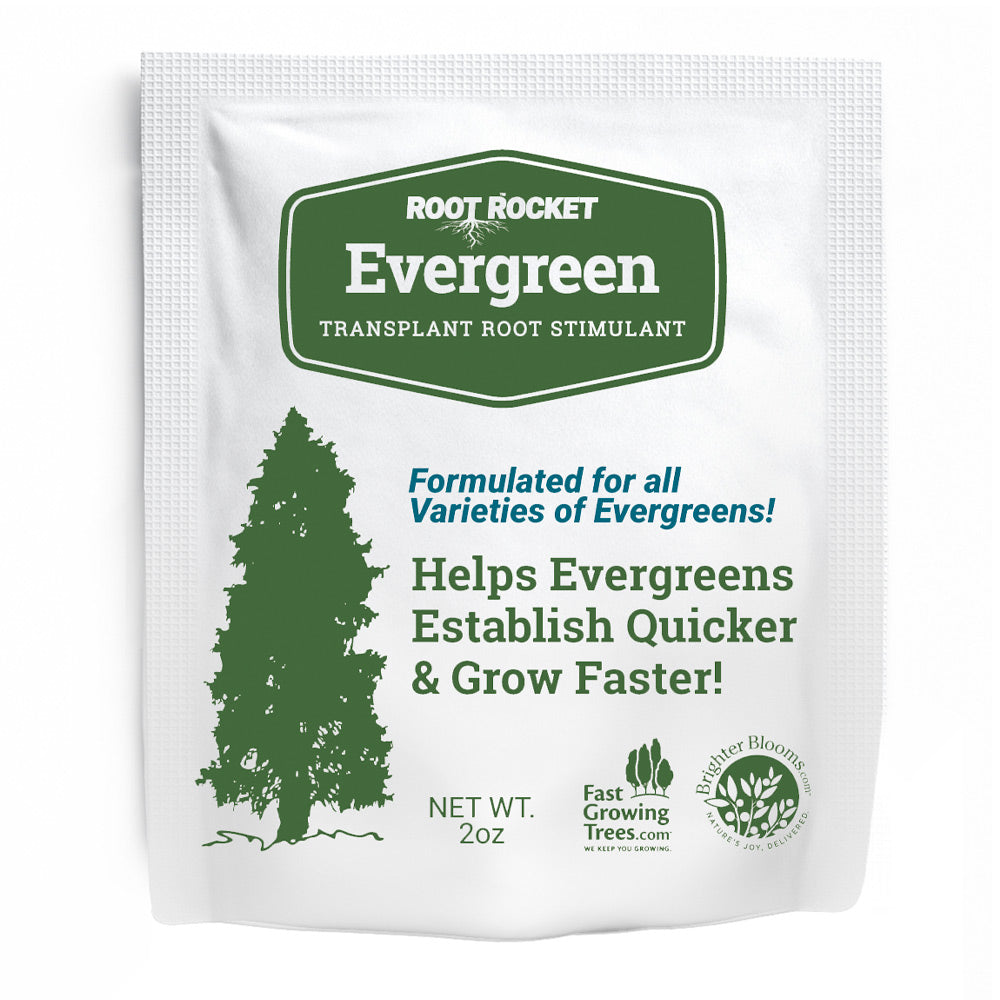 #1 - Root Rocket® Evergreen Rocket