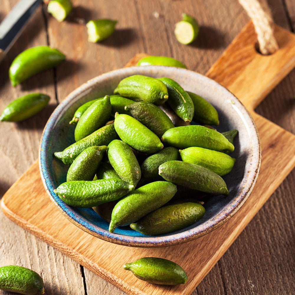 #4 - Australian Finger Lime Tree