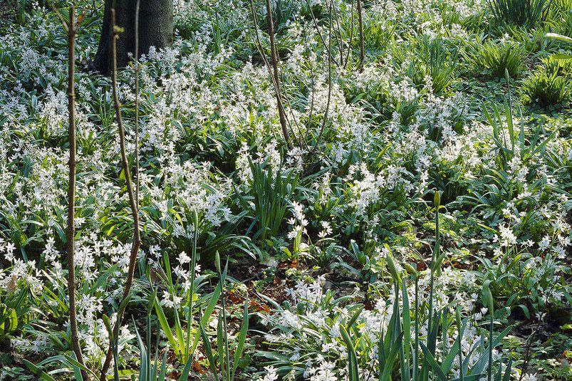 Growing Plants Indoors: What You Need to Know