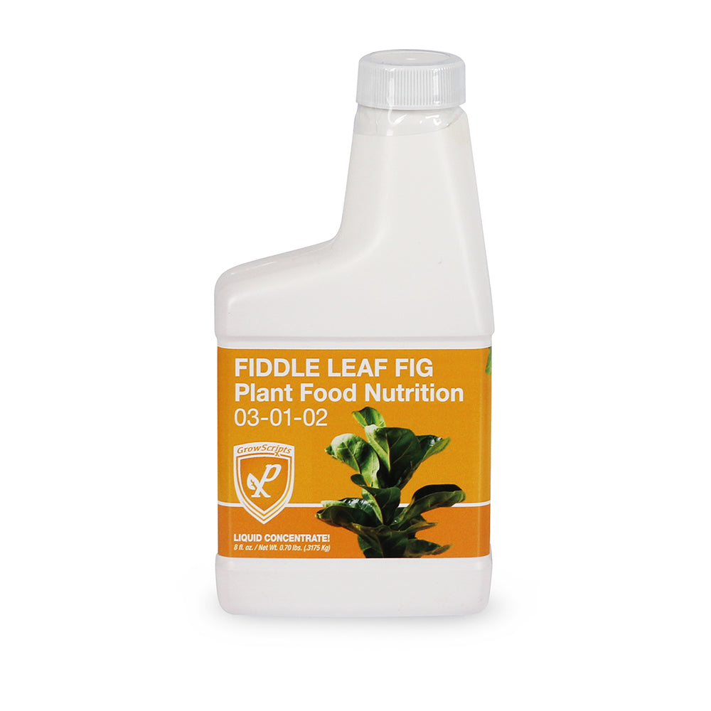 #1 - Fiddle Leaf Fig Fertilizer