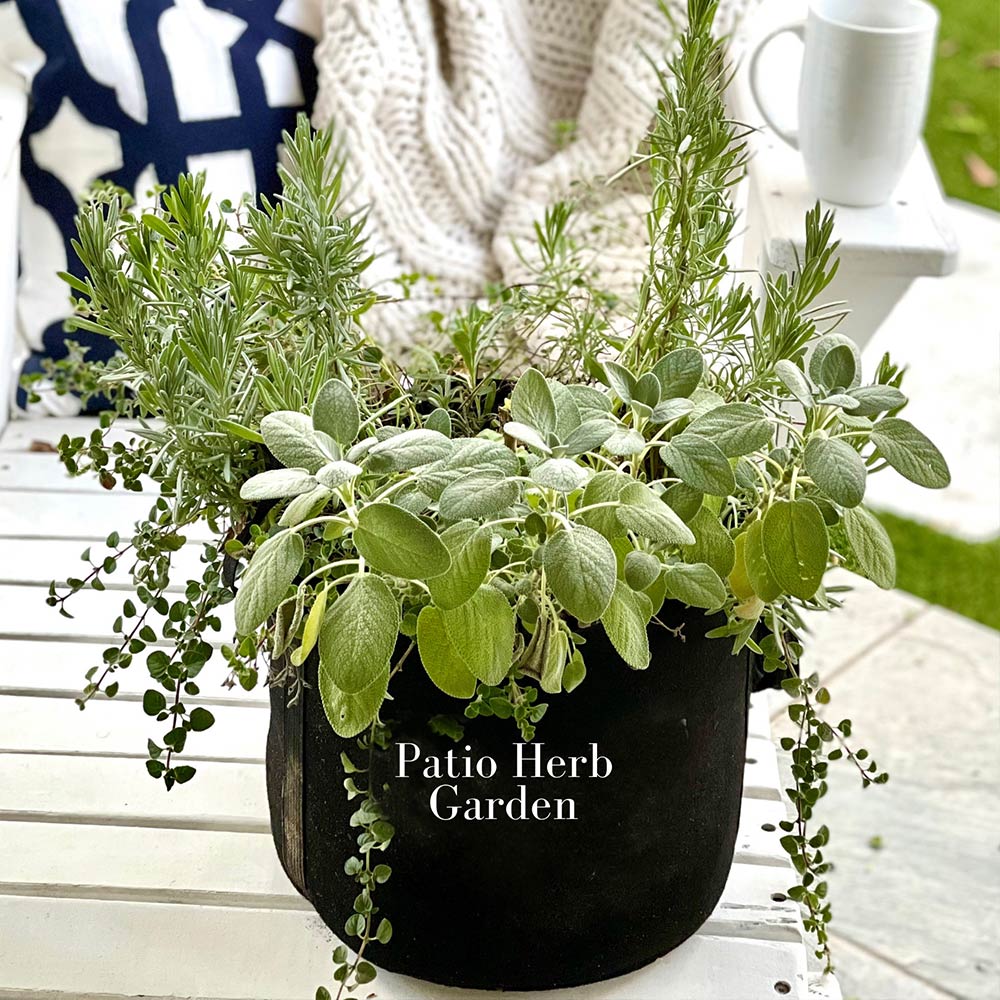 #3 - Patio Herb Garden