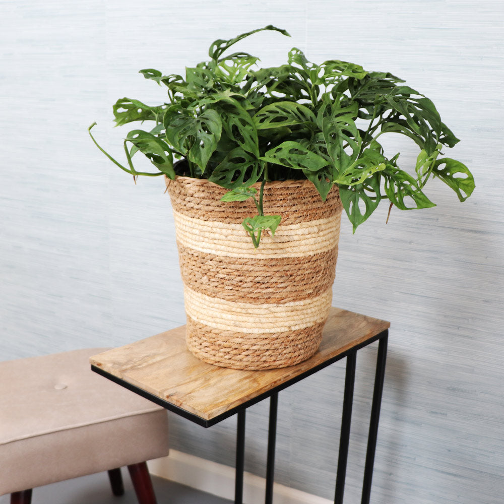 #1 - Jute Woven Basket Pot - Striped