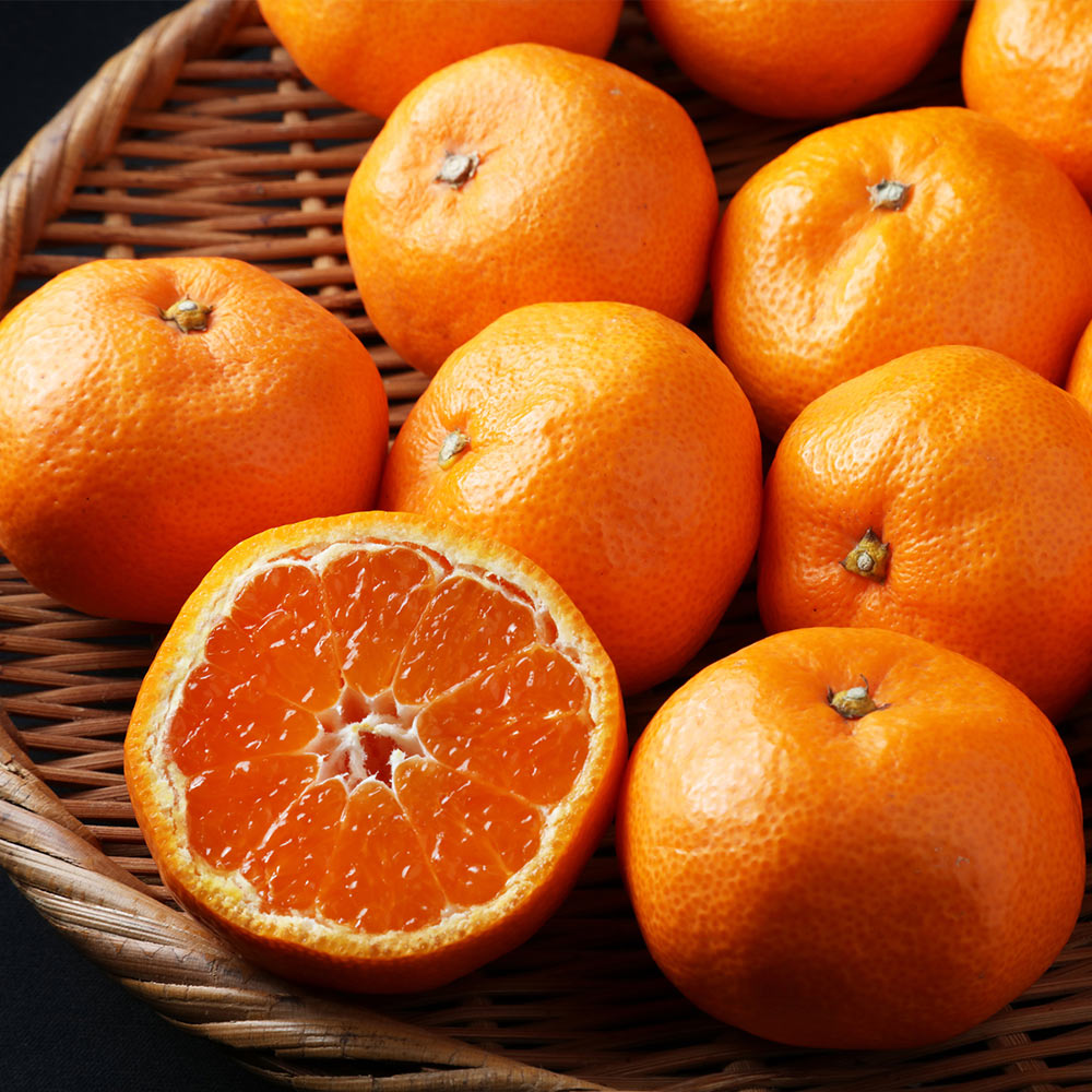 #3 - Kishu Mandarin Tree