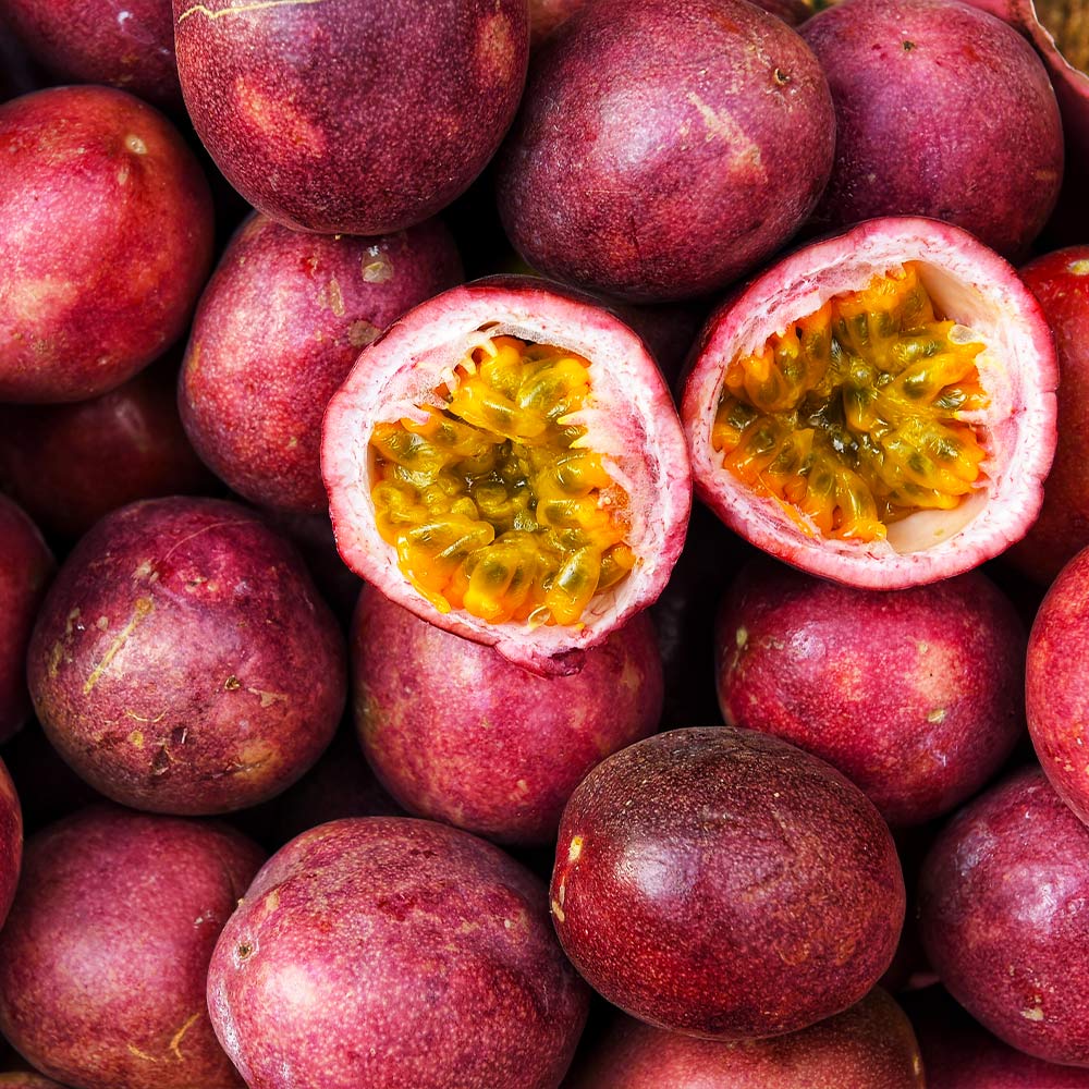 #3 - Nancy Garrison Passion Fruit Vine