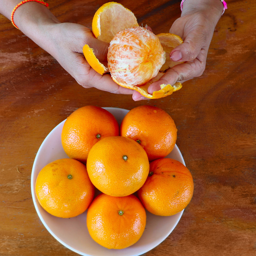 #2 - Clementine Tree