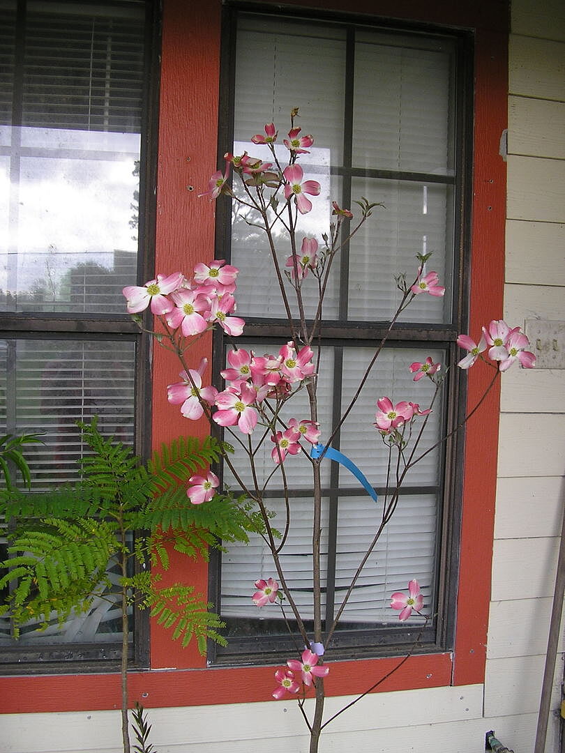 Better than expected