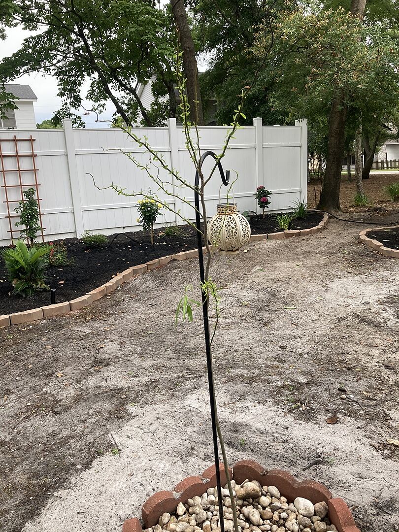 I was disappointed in the