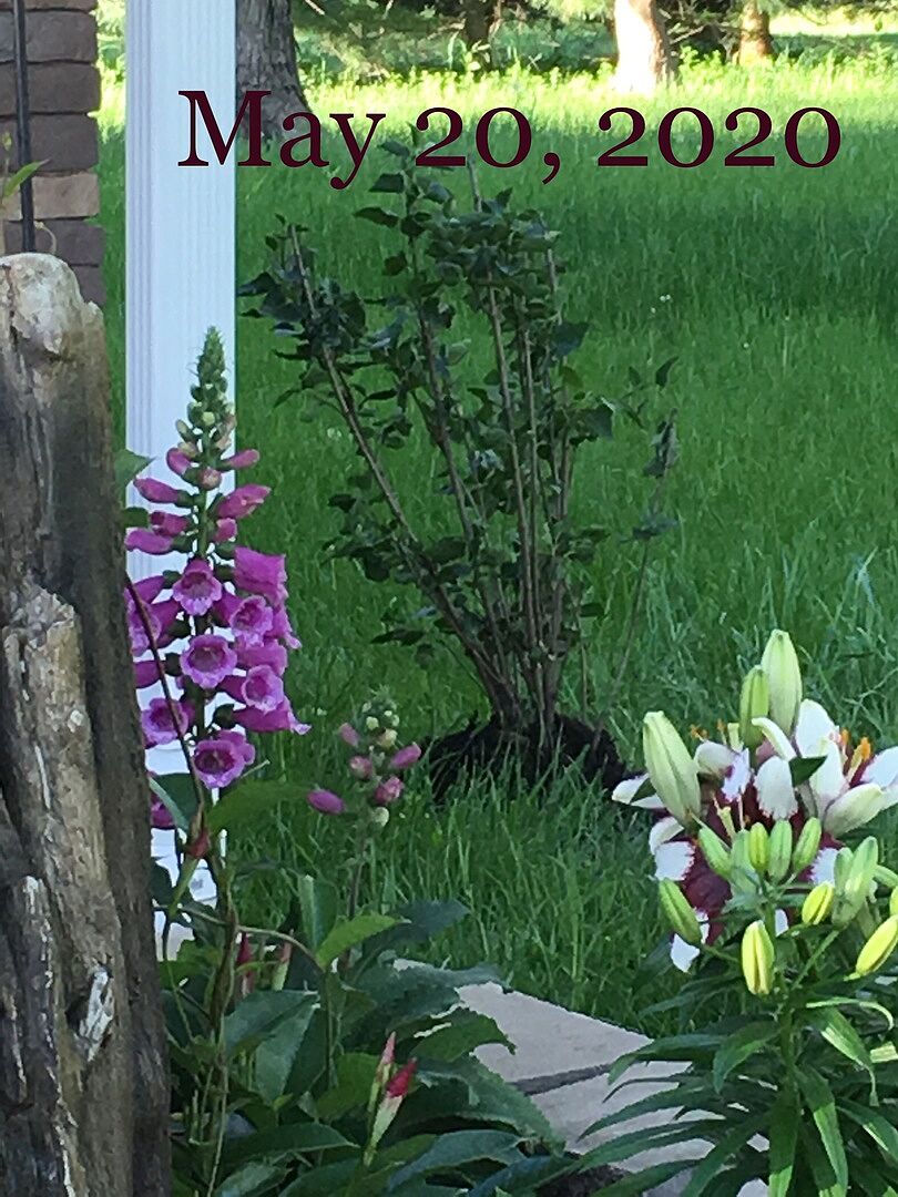 Better than expected