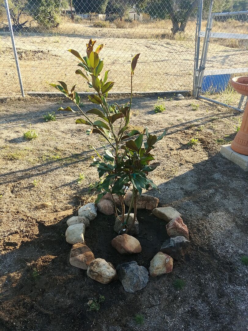 Arrived in good shape, trans