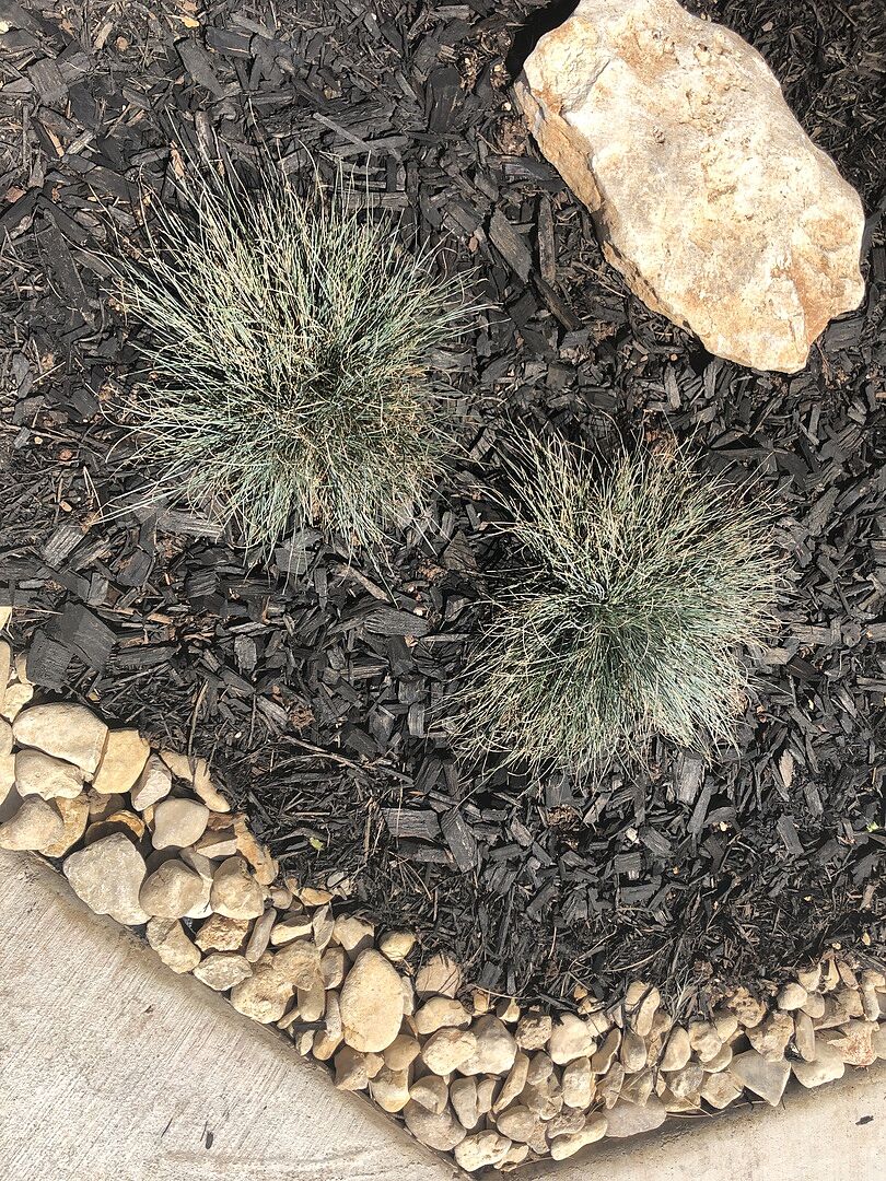 Love, love, and really gorgeous