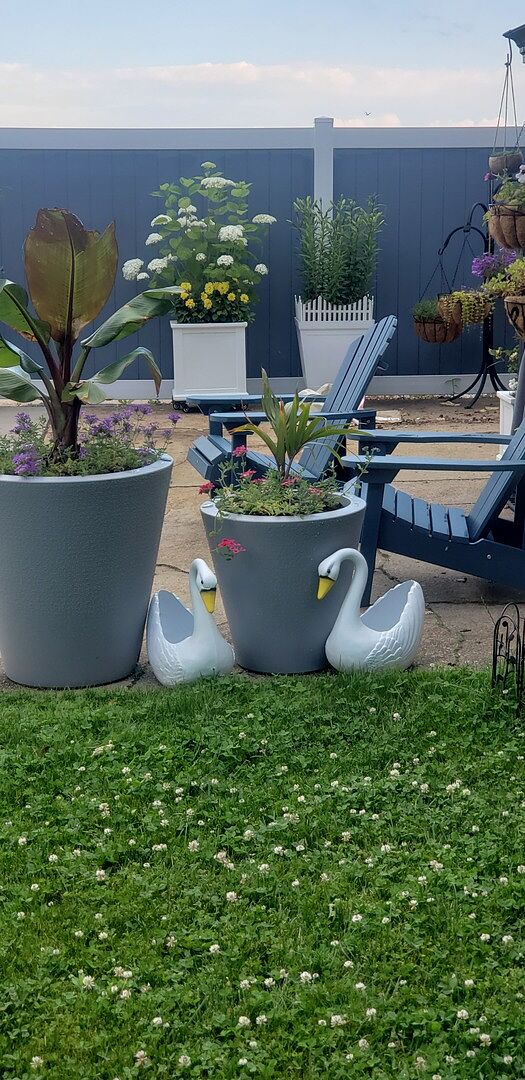 Arrived in perfect shape