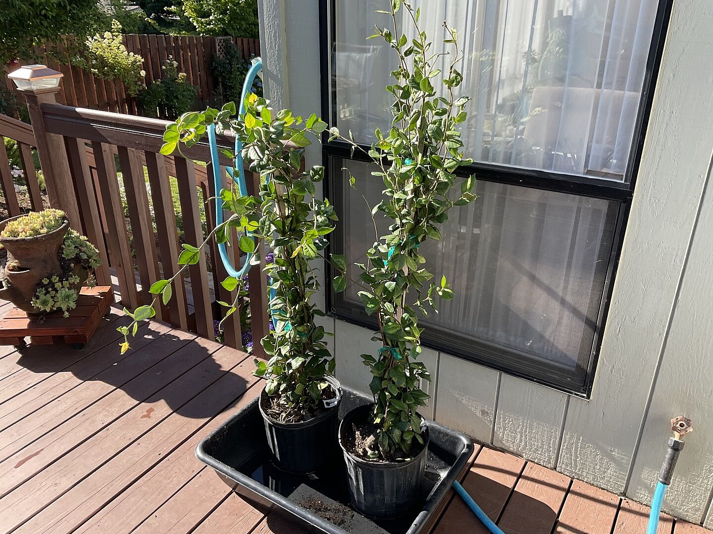 I have made several purchases