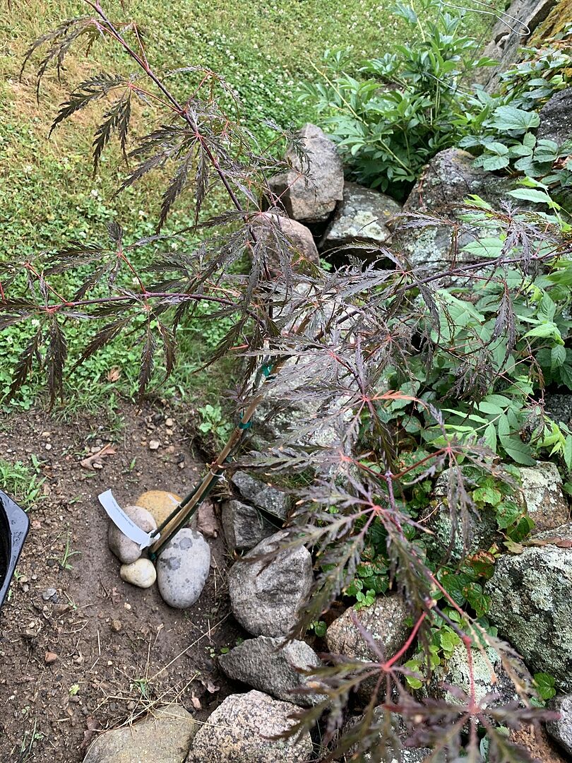 It's doing quite well and