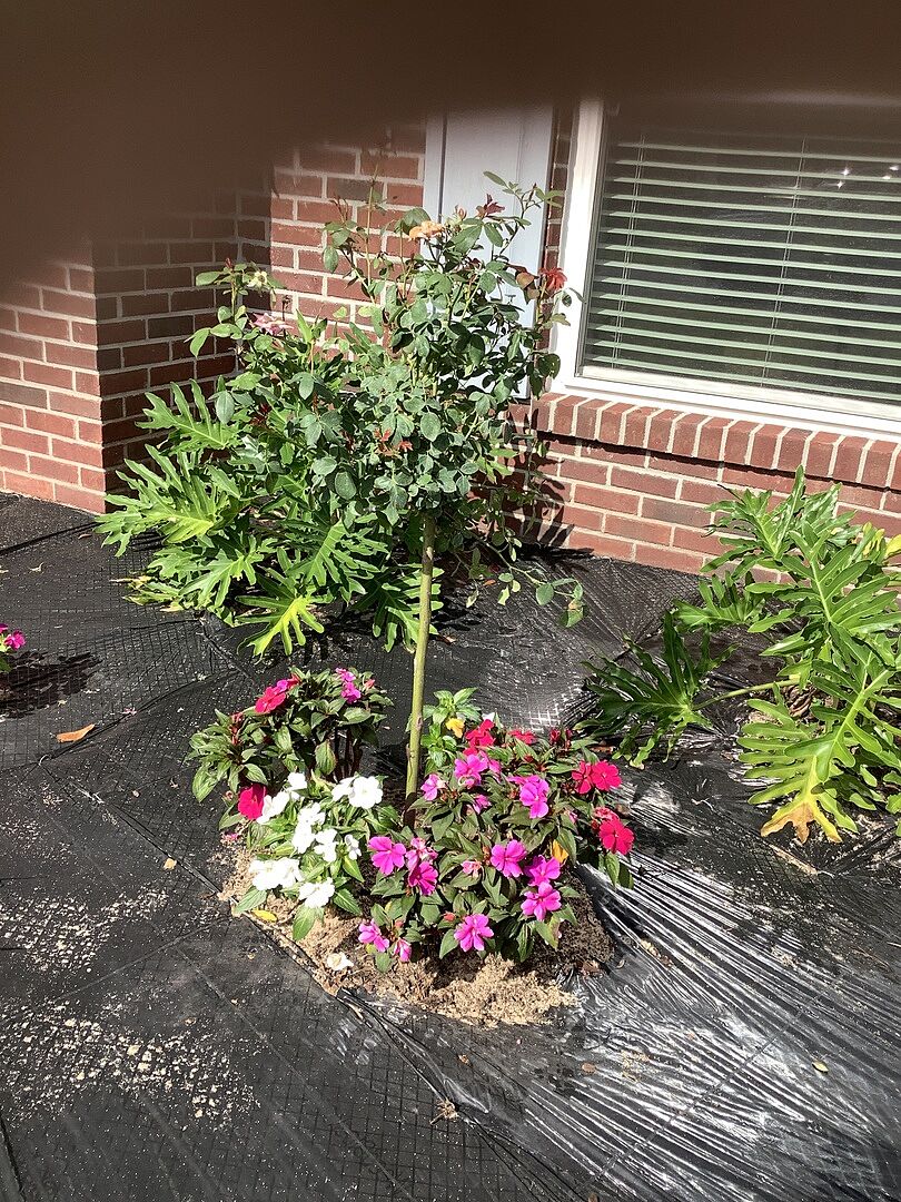 Very happy with my knock