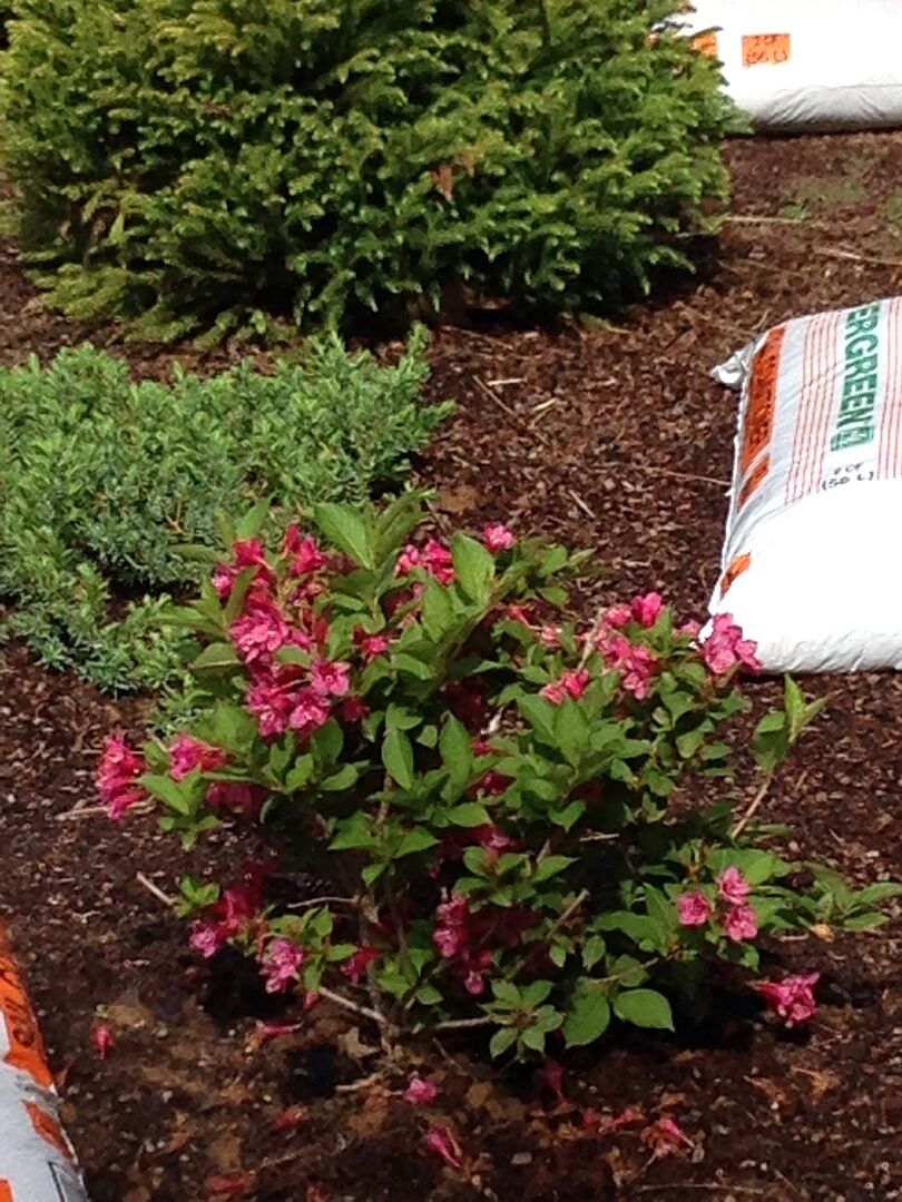 Arrived quickly with easy to