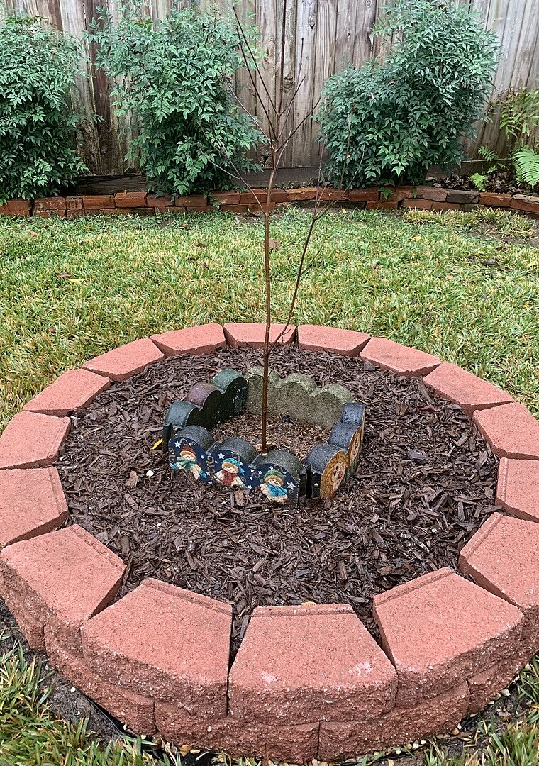 My first purchase was flawless!