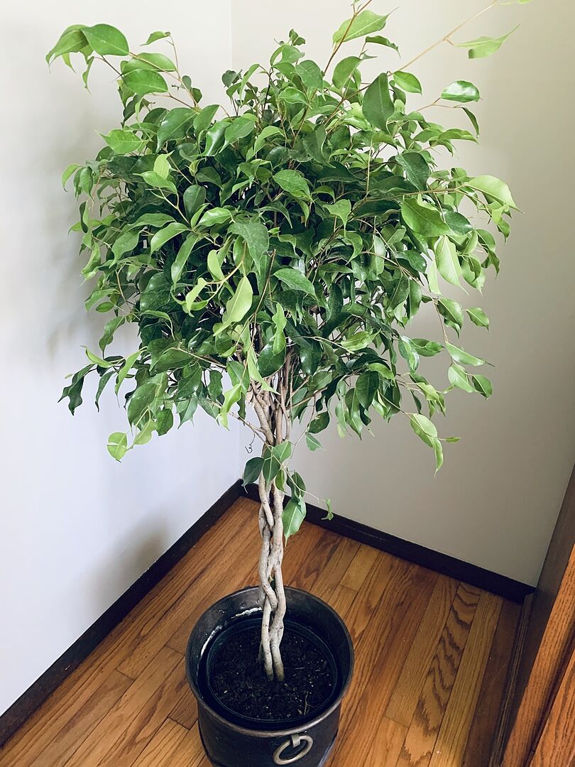 It’s really beautiful.