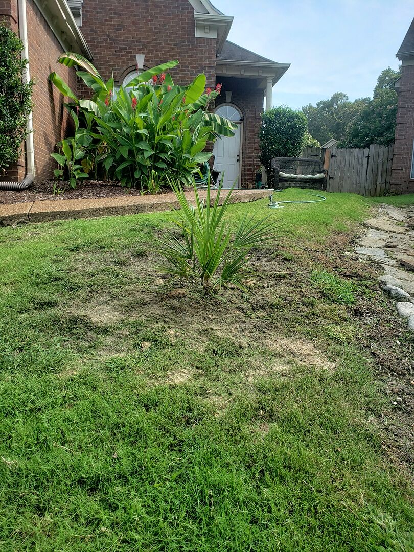 Fast delivery and I love