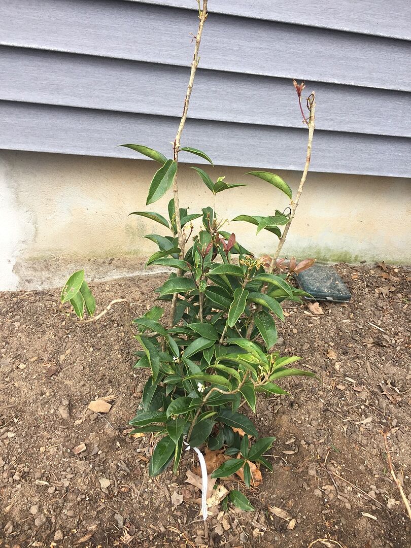 I bought the 3 gallon