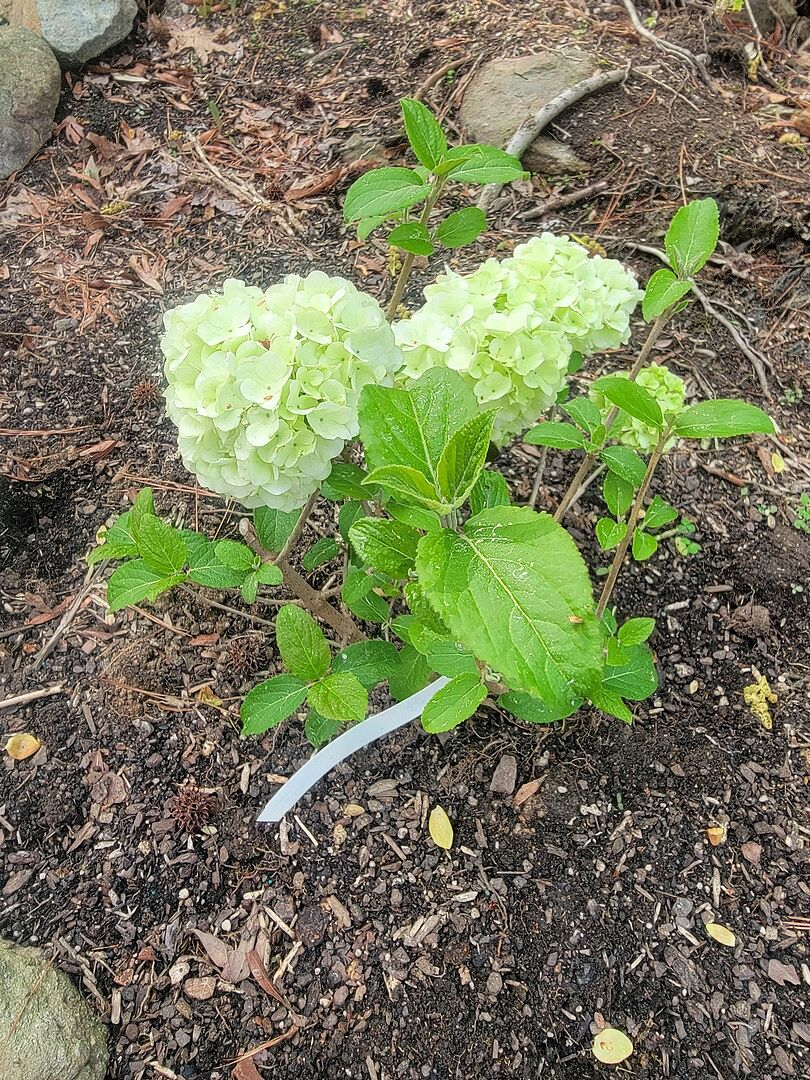 Was packaged very well.