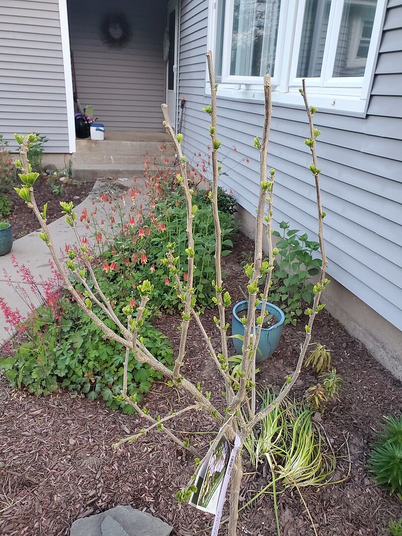 Super happy with company &amp; products!