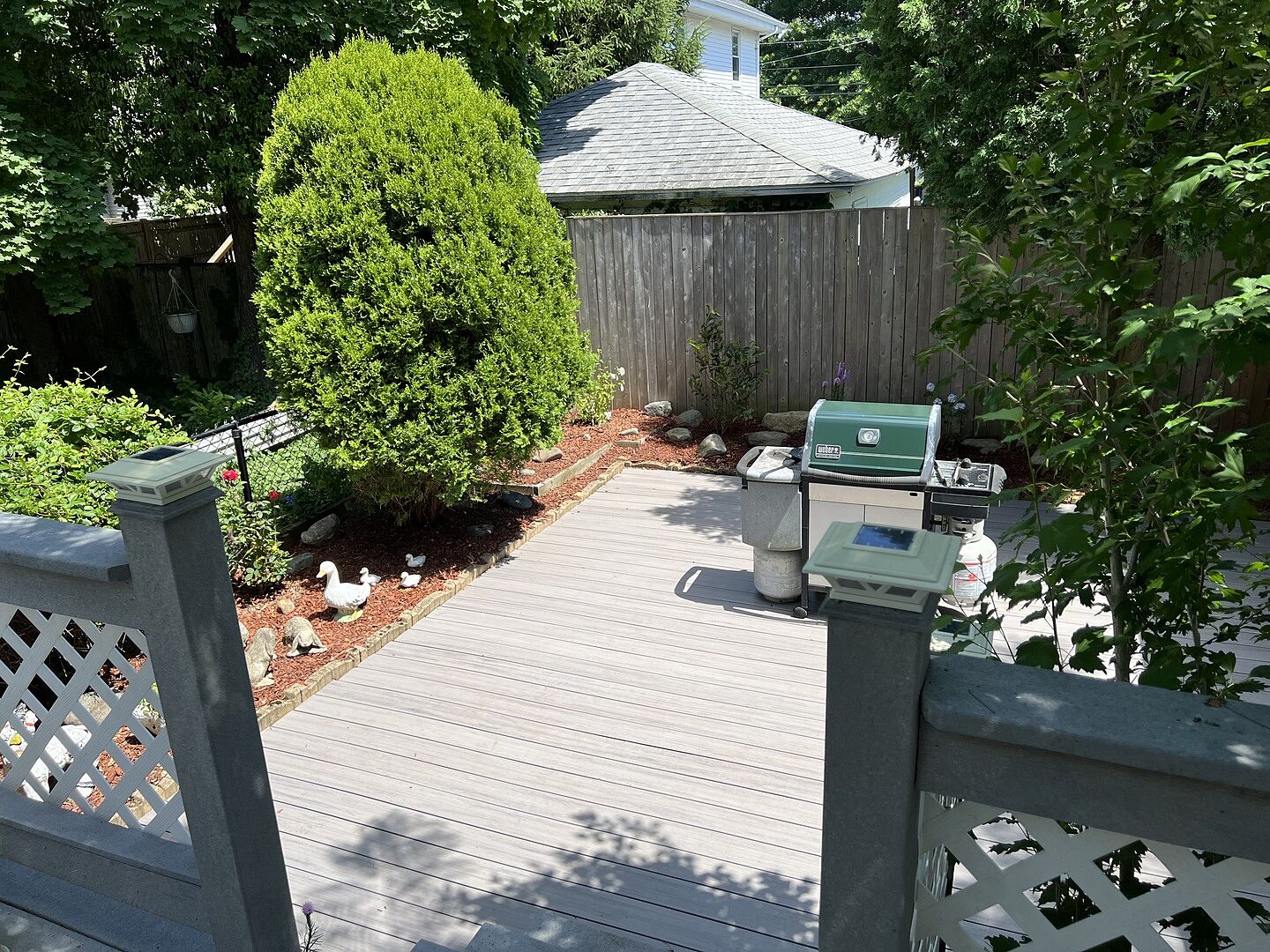 Jane Magnolia - A Second Chance