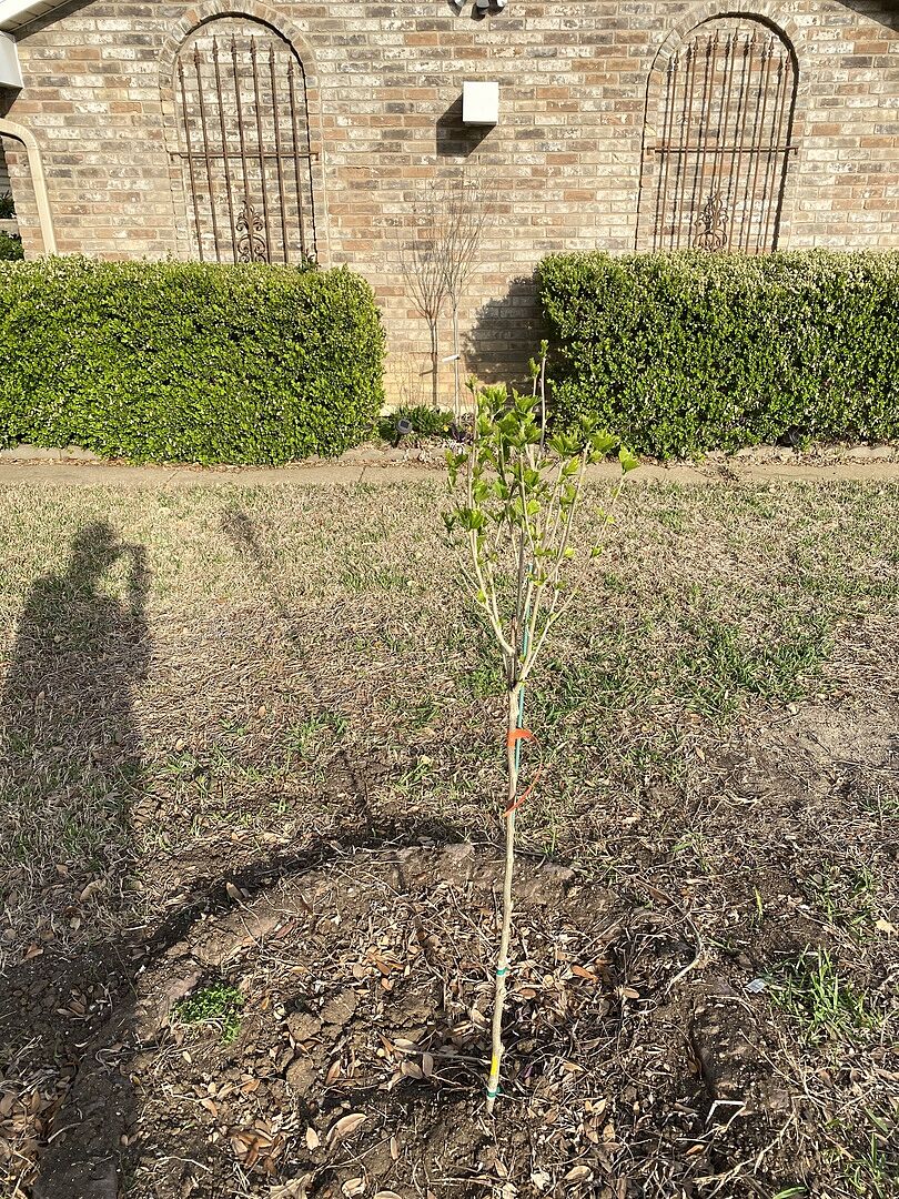 As you can see already