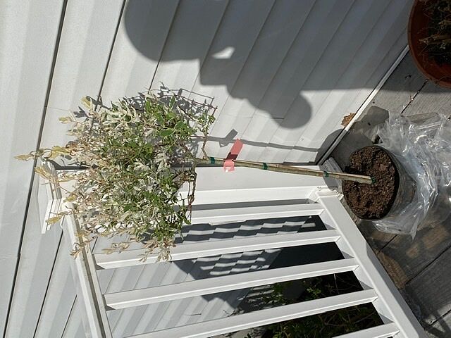 Couldn’t be happier