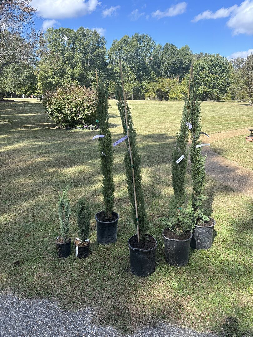 3 Healthy/ 1 with limb broken