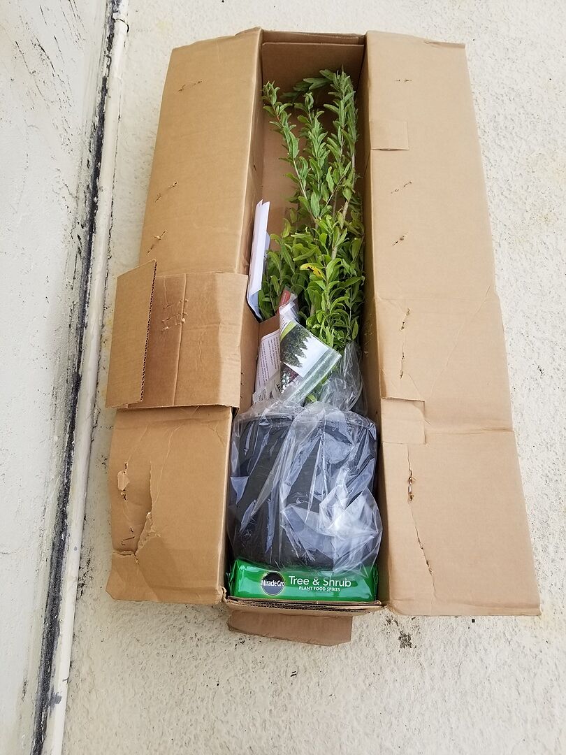 Great product, well packaged