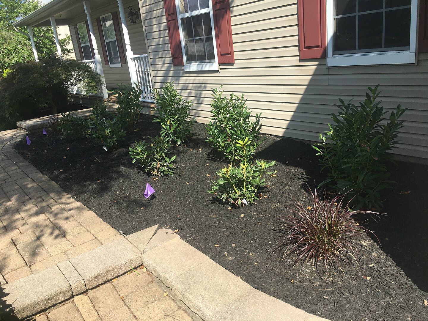 Easy ordering, quick delivery. Ordered