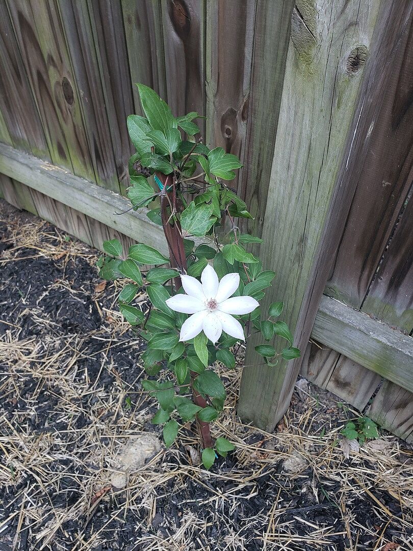 You won’t be disappointed