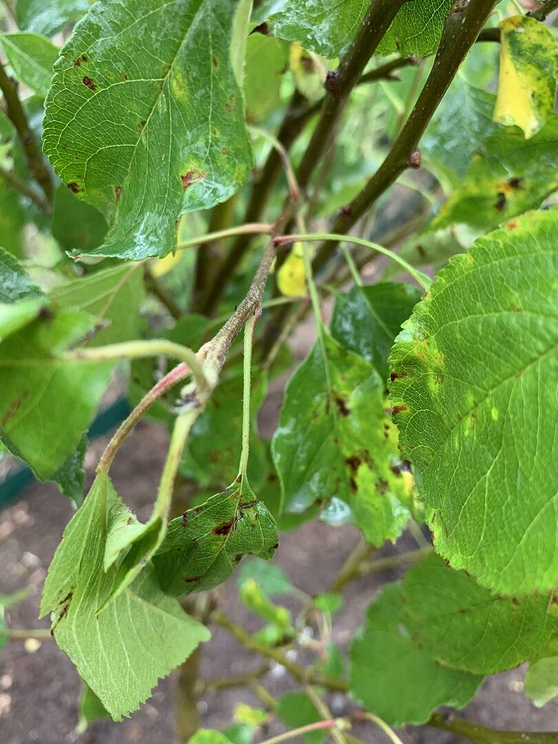 Excellent delivery and good product