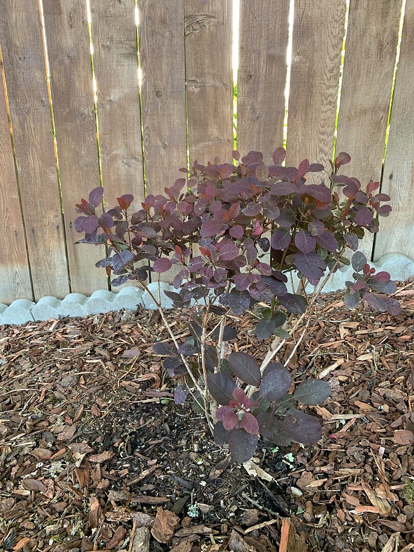 Delivery was one day early.