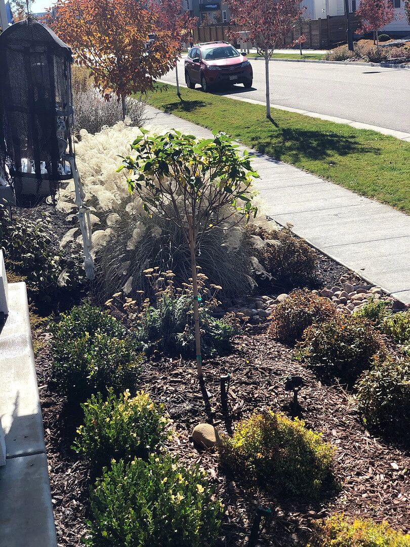 Excellent customer service and high quality plant