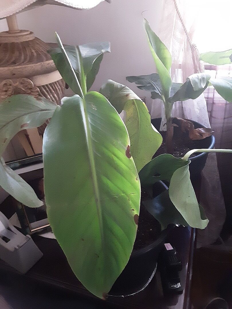 So far so good...prayin they