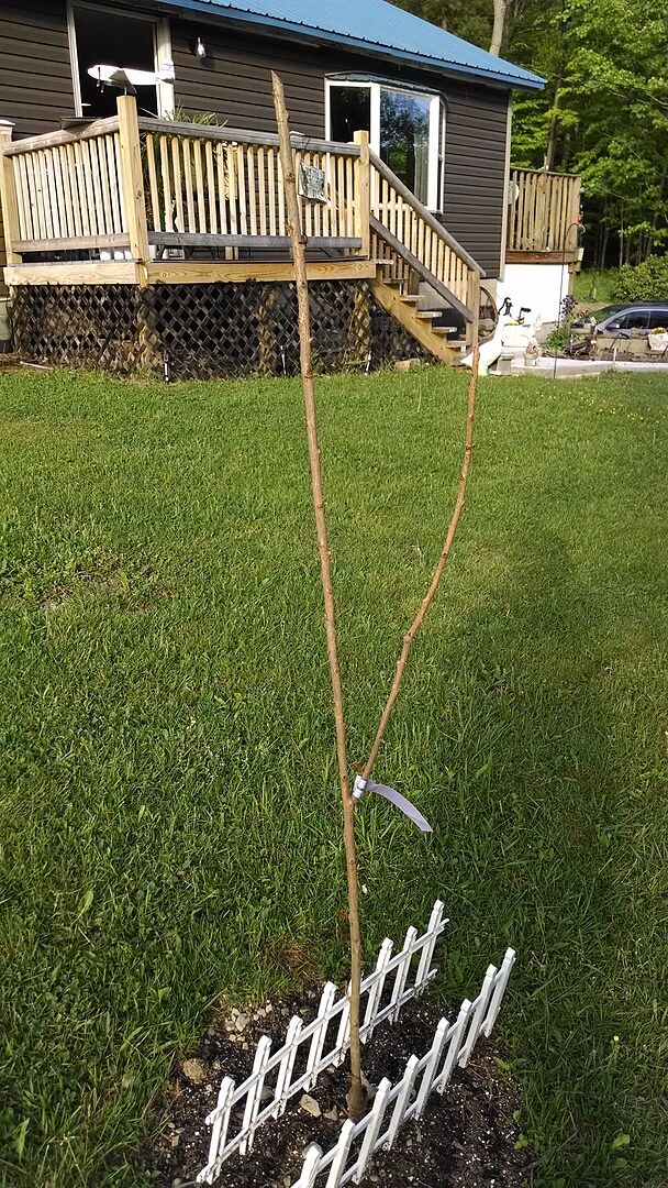 Arrived well packaged in same