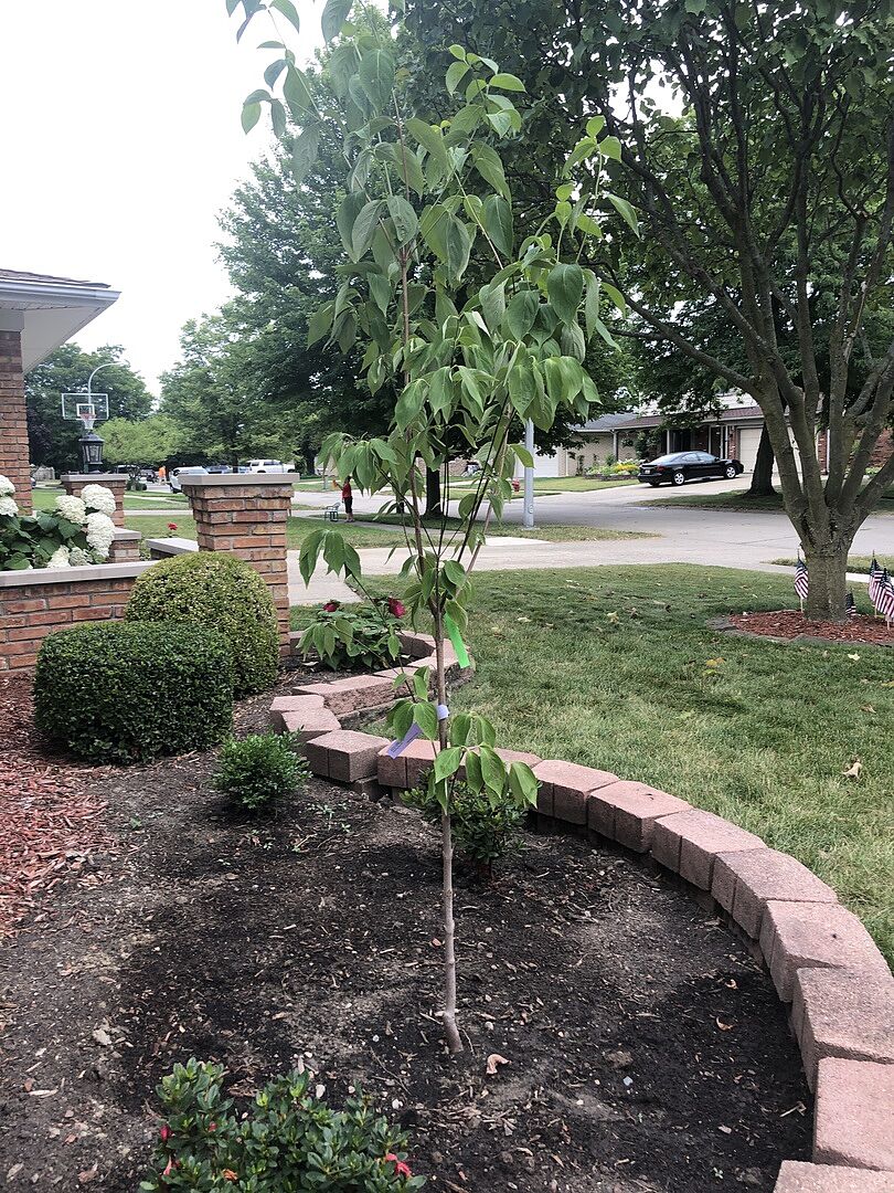 Arrived healthy and is beautifully