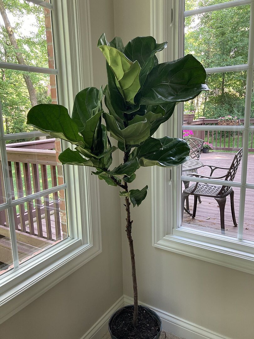 It arrived quickly and was