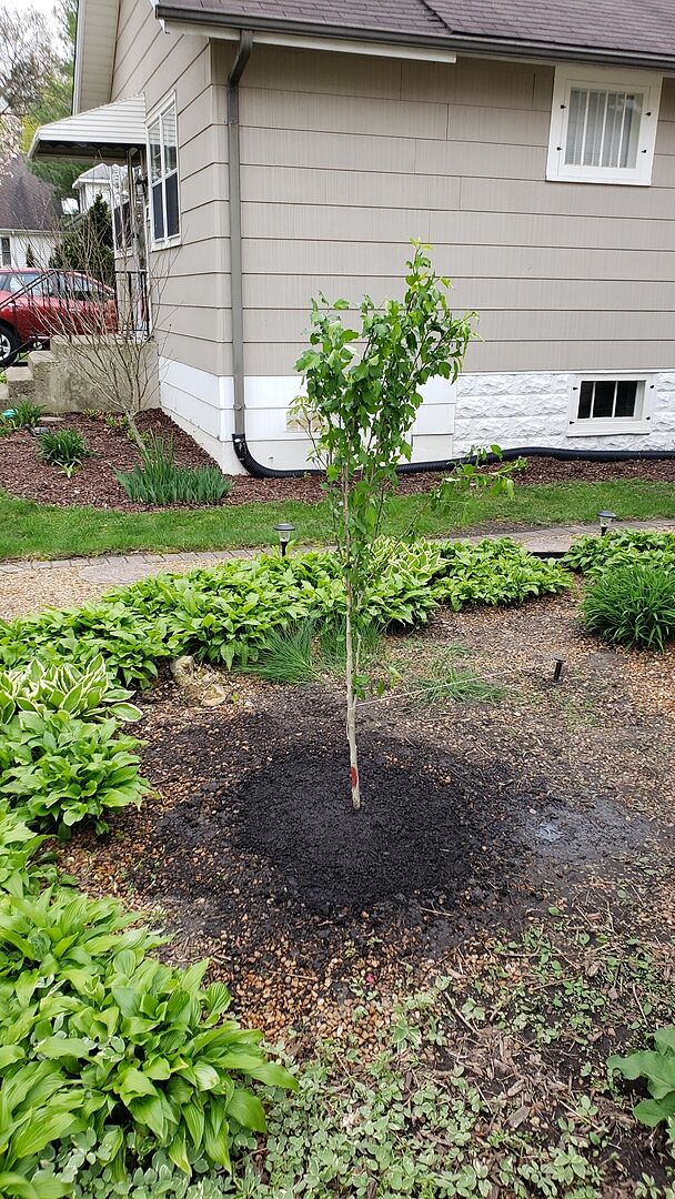 Delivered with care, planted the