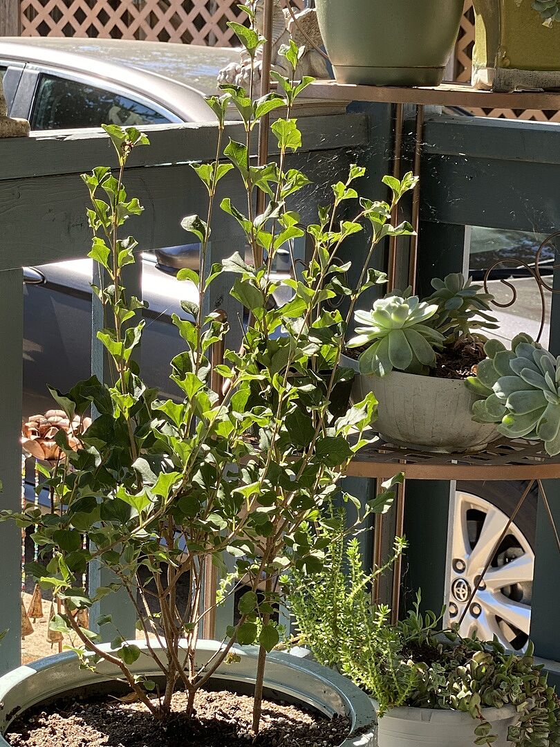 Very impressed with size and