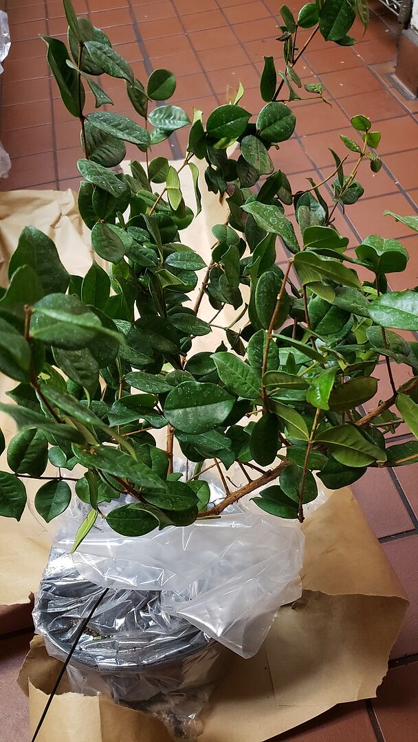 I am very happy with