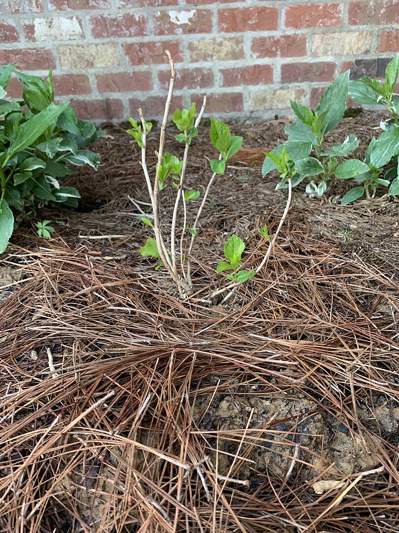 Wonderful Experience!!