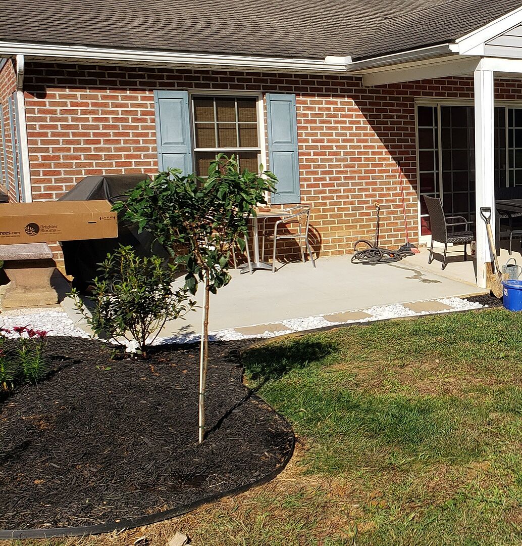 Absolutely would buy again!