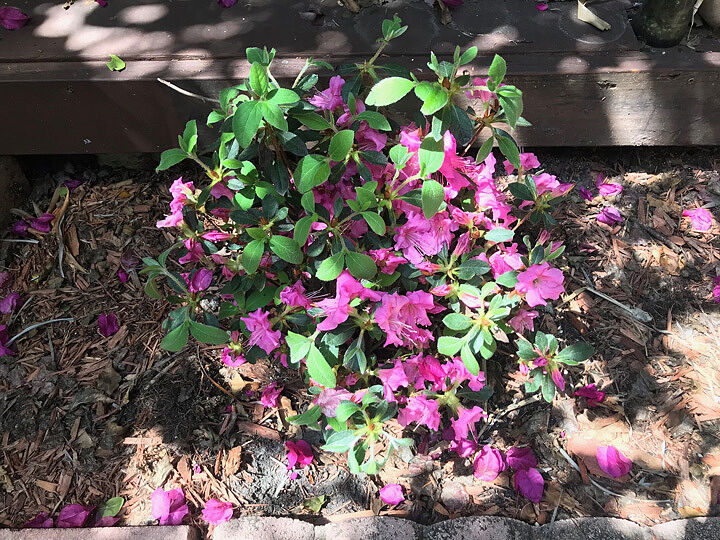 All 3 arrived on time